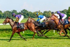 Horse Racing winnings in 2015