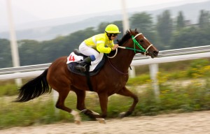 horse race winnings